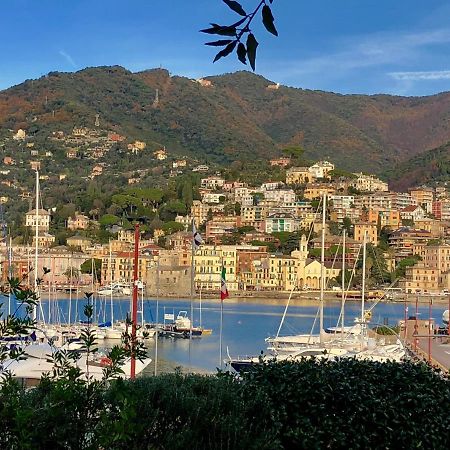 Bella vacanza - city center -air conditioning -WI-FI Rapallo Esterno foto